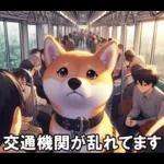 夏の天気をお知らせする柴犬【便利・日常】