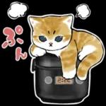 今日は猫カレーの日3