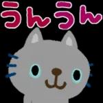 ニャー星人の楽園