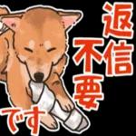 柴犬の手書き風スタンプです。