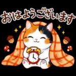 三毛猫のつめあわせ【秋】