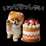 ずっと使える♡めちゃかわスイーツポメ