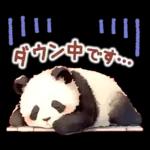 แพนด้าด้วยความเคารพ