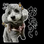 大人かわいい日常メッセージ?