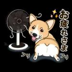 いつもありがとう