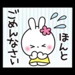 優しい2!!かわいい白うさぎ