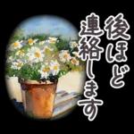 落ち着いて恋人を。。。
