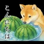飛び出す【夏】ずっと使える大人のご挨拶