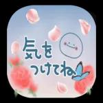 動く♪空とニコちゃん