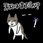 ナノときなこ7（夏）