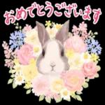 かわいらしい小さな花だ