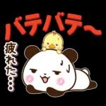 パンダ&ひよこ 真夏の長文