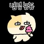 말수가 적은 고양이