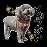 大人かわいい日常メッセージ?