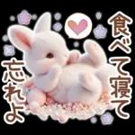 癒しうさぎのマリンスタイル☆*。