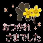 秋だね～紅葉が赤くなりそう～～