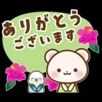 ホッキョクグマとインコの返事【夏】