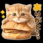 会話がはずむほっこりスタンプ☆