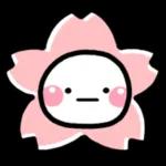 今日は何にしますか