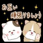 猫と仲間達♡日常。～