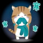 素敵な一日になりますように〜