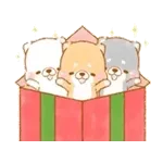 🎄お気に入りのクリスマスオーナメント🎁