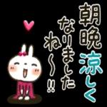 夏～秋「白うさぎさん」日常パック