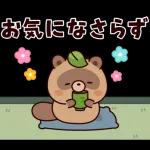 ポップアップ！しゃべるタヌキ8