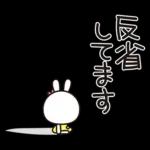 優しい2!!かわいい白うさぎ