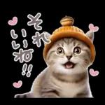 ねこちぃずNEO★やさしい秋スタンプ