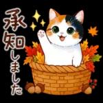 三毛猫のつめあわせ【秋】