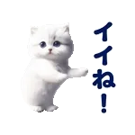 踊る！ペルシャ猫