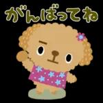 ゆるっとかわいい気持ちことば集＊