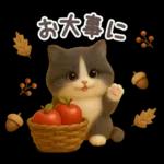 【３D】ネコ・秋　バラエティパック