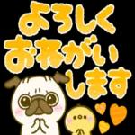 大人可愛い♡見やすいデカ文字♡パグちゃん