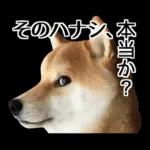 Premium 柴犬こてつ君*スタンプ第二弾