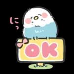 可愛いインコちゃんと一緒に冬を過ごしましょう！