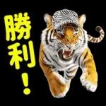 大阪神戸の野球好き虎ファン向け2