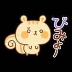 シマリスのマリーちゃん