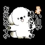 動く犬さん 2025 「暑い夏」