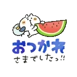 吾輩は猫です。。。夏