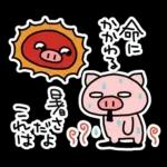 ぶたたの夏（1）🐷