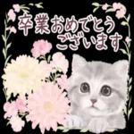 かわいらしい小さな花だ