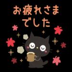 黒ネコの気遣い日常〜🐈‍⬛