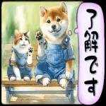 気をつけんしゃいね