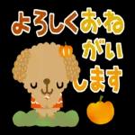可愛い犬さん〜よろしくね！！
