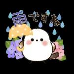 long tailed tit Rainyseason early summer