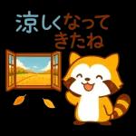 ほっこり秋タヌキ～～