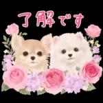 大人かわいい♡いぬと花のスタンプ