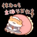 ニャー星人の楽園🥰